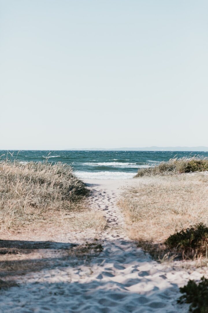 white sand with foot prints near body of water at daytime